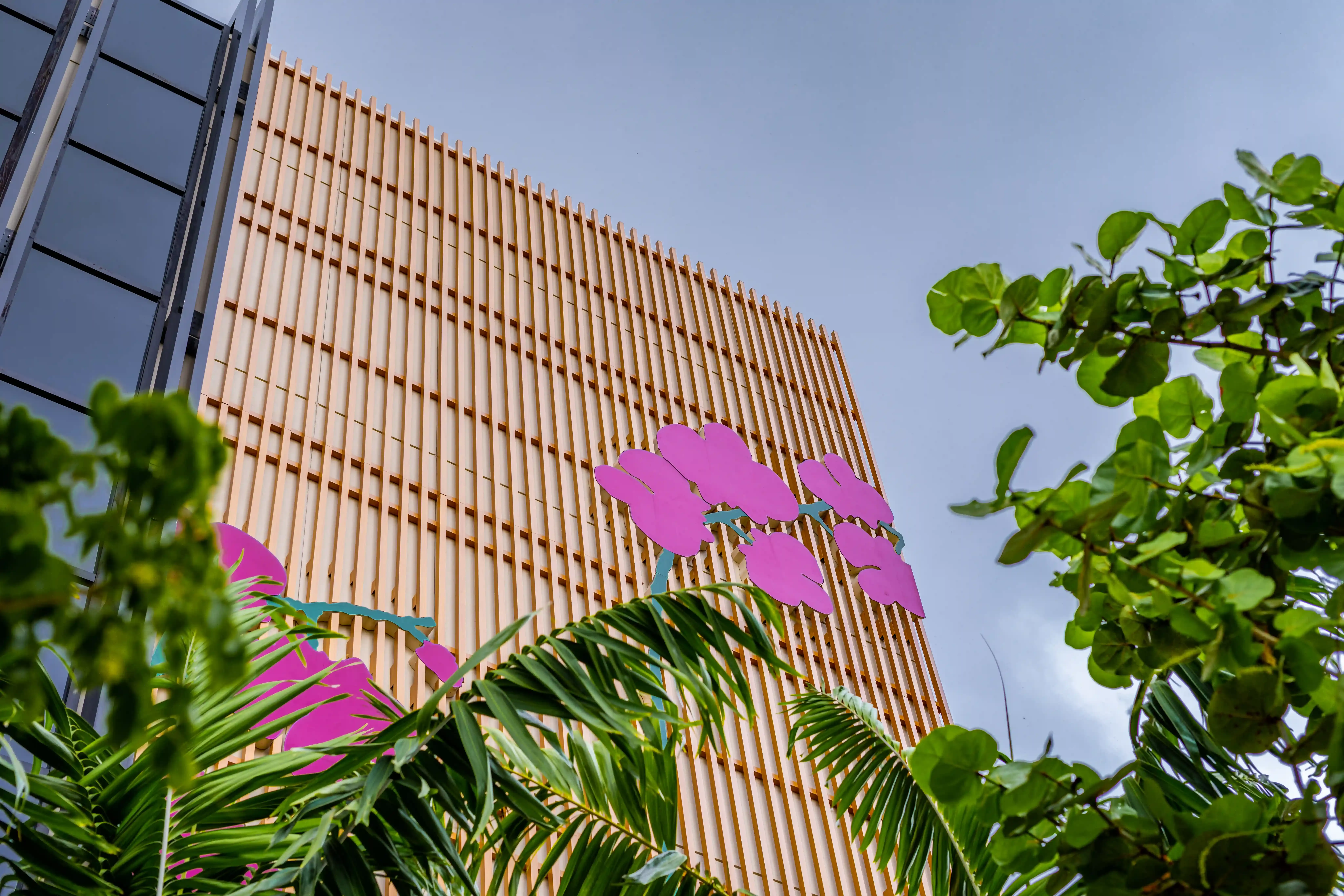 Orchid City  — Detail 1