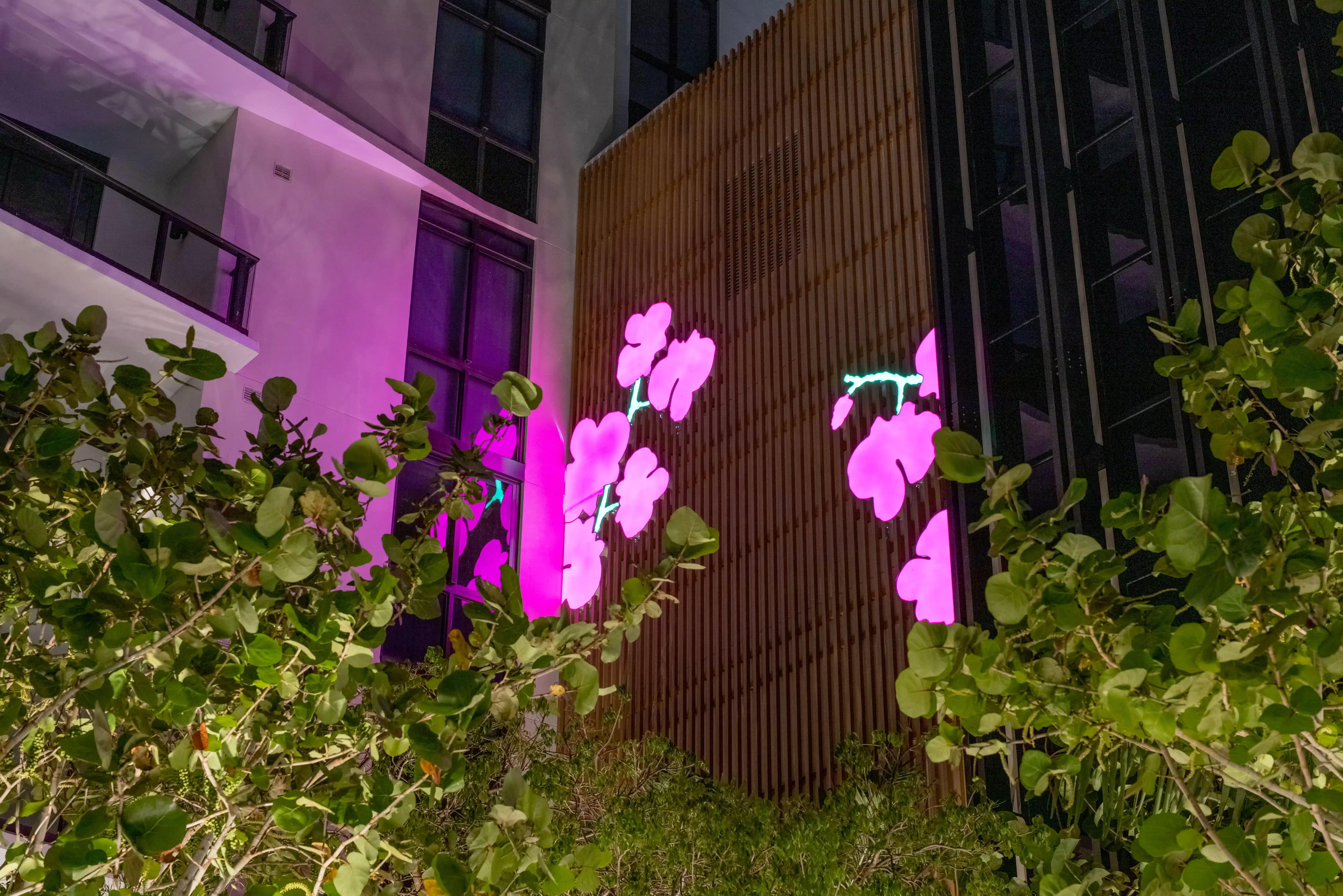 Orchid City  — Detail 2