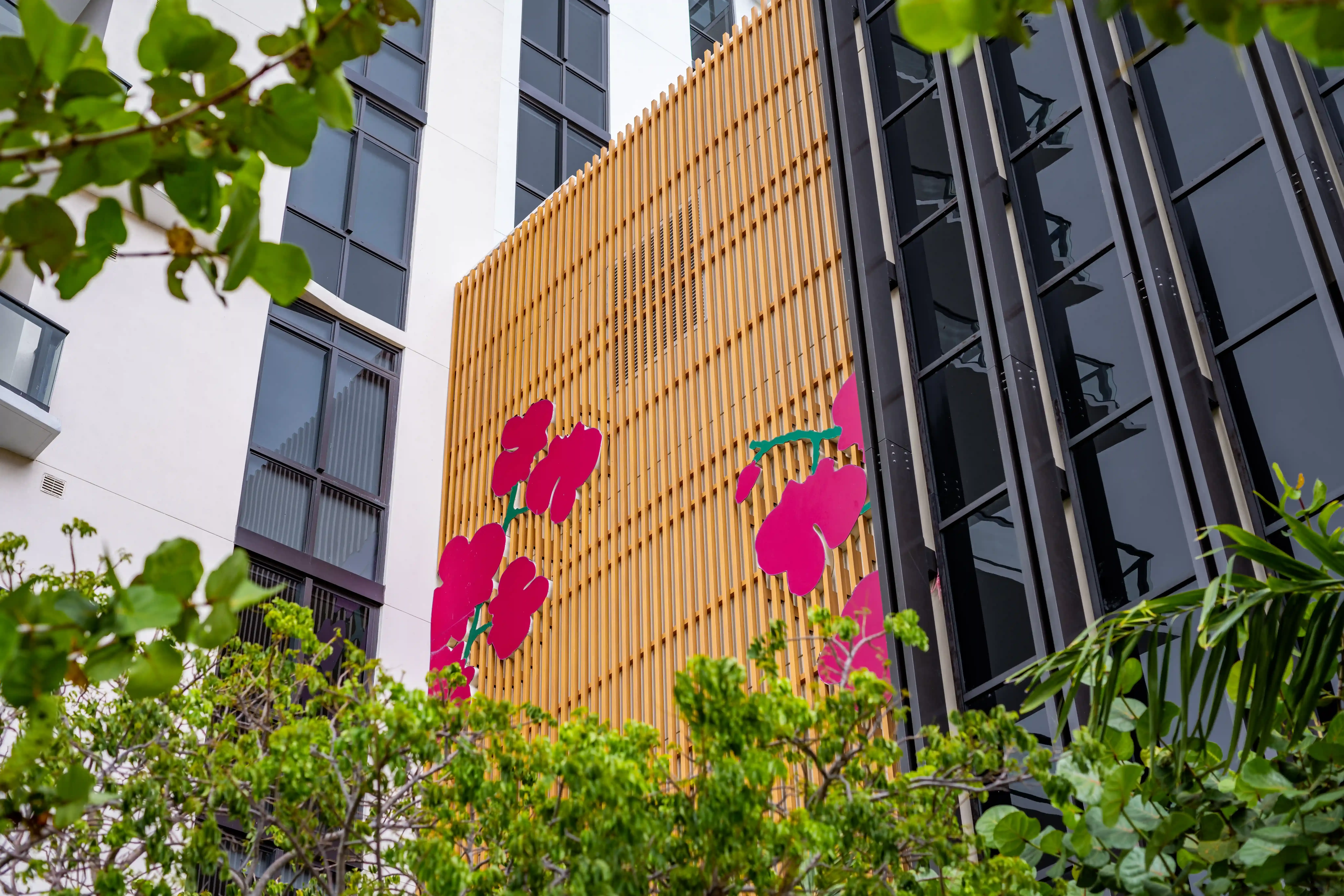 Orchid City  — Image 4