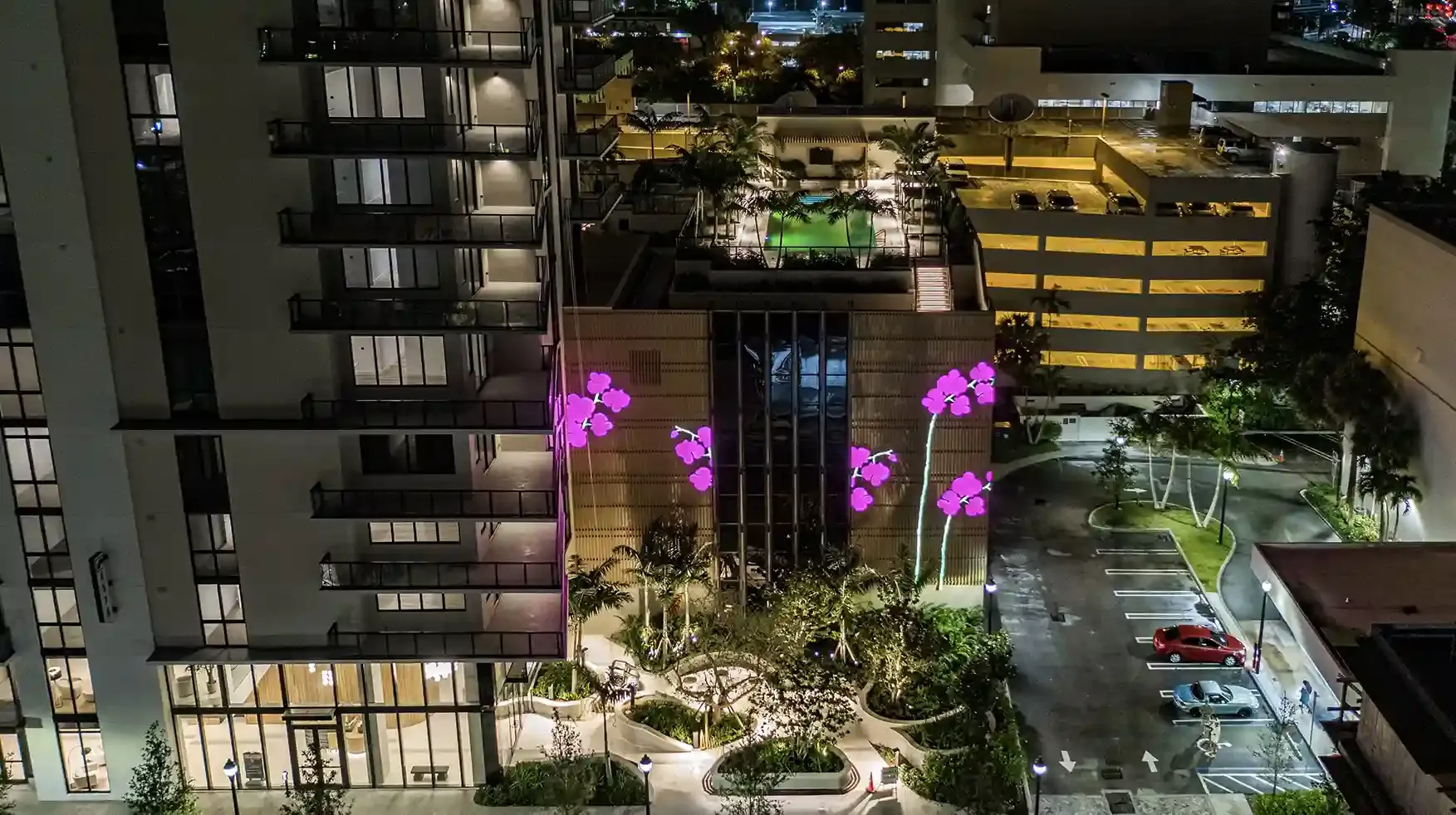 Orchid City  — Image 5