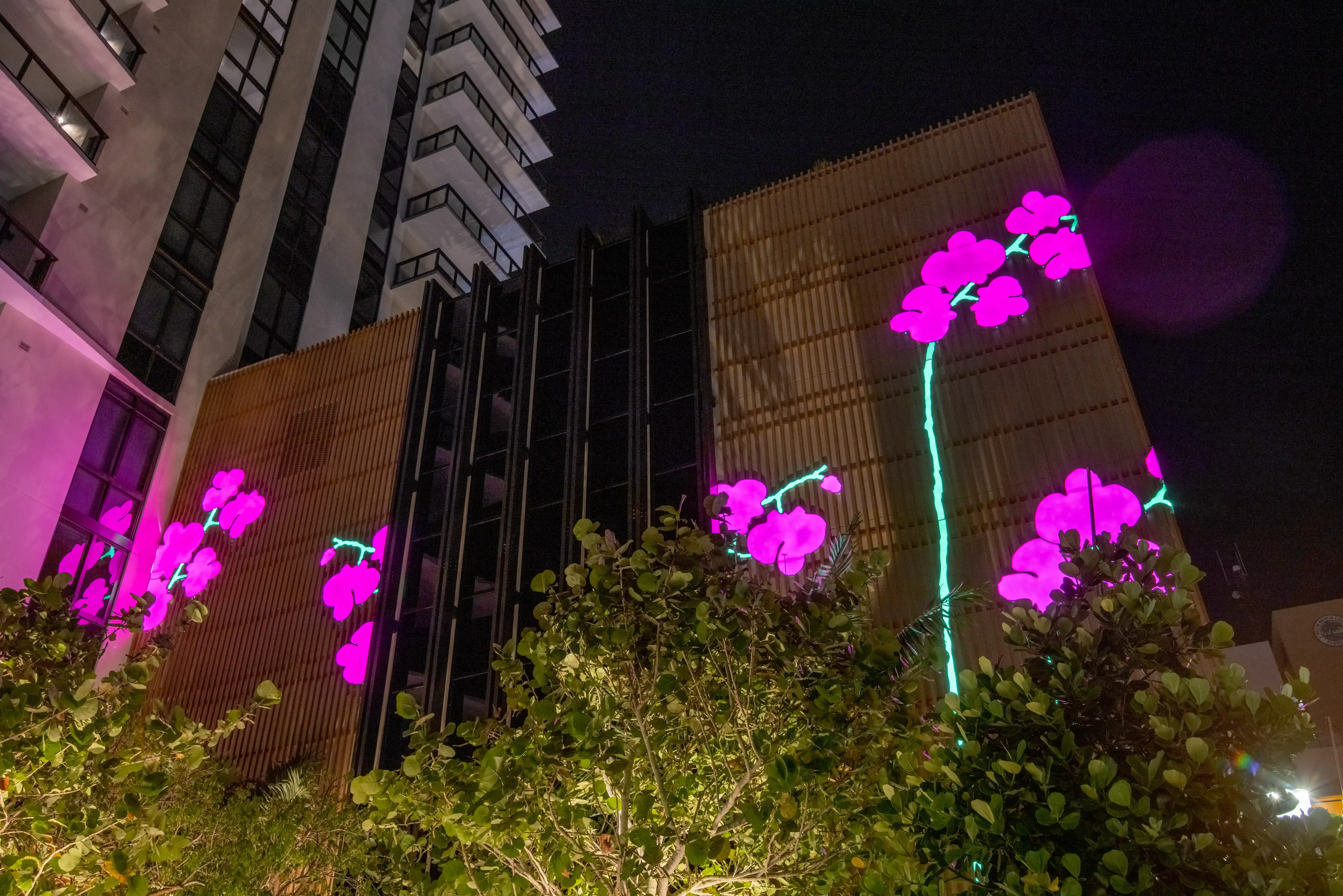 Orchid City  — Image 6